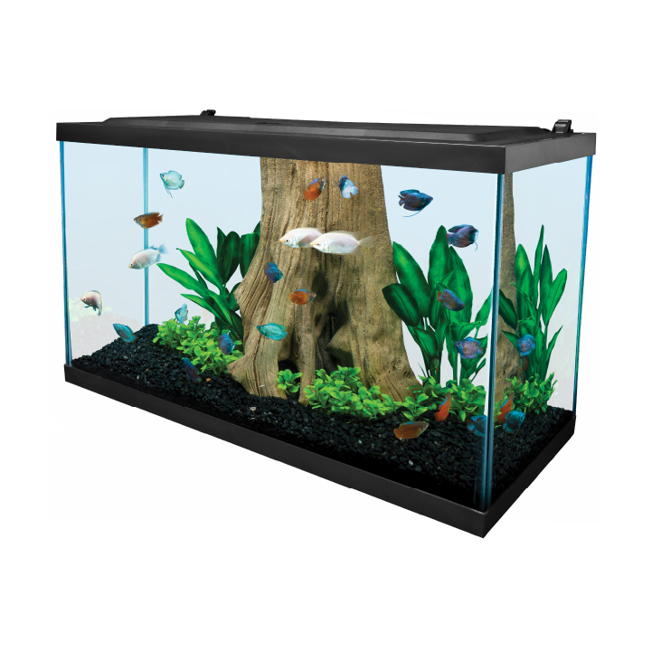 29 aquarium hood sales